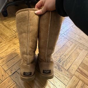Classic Tall Uggs